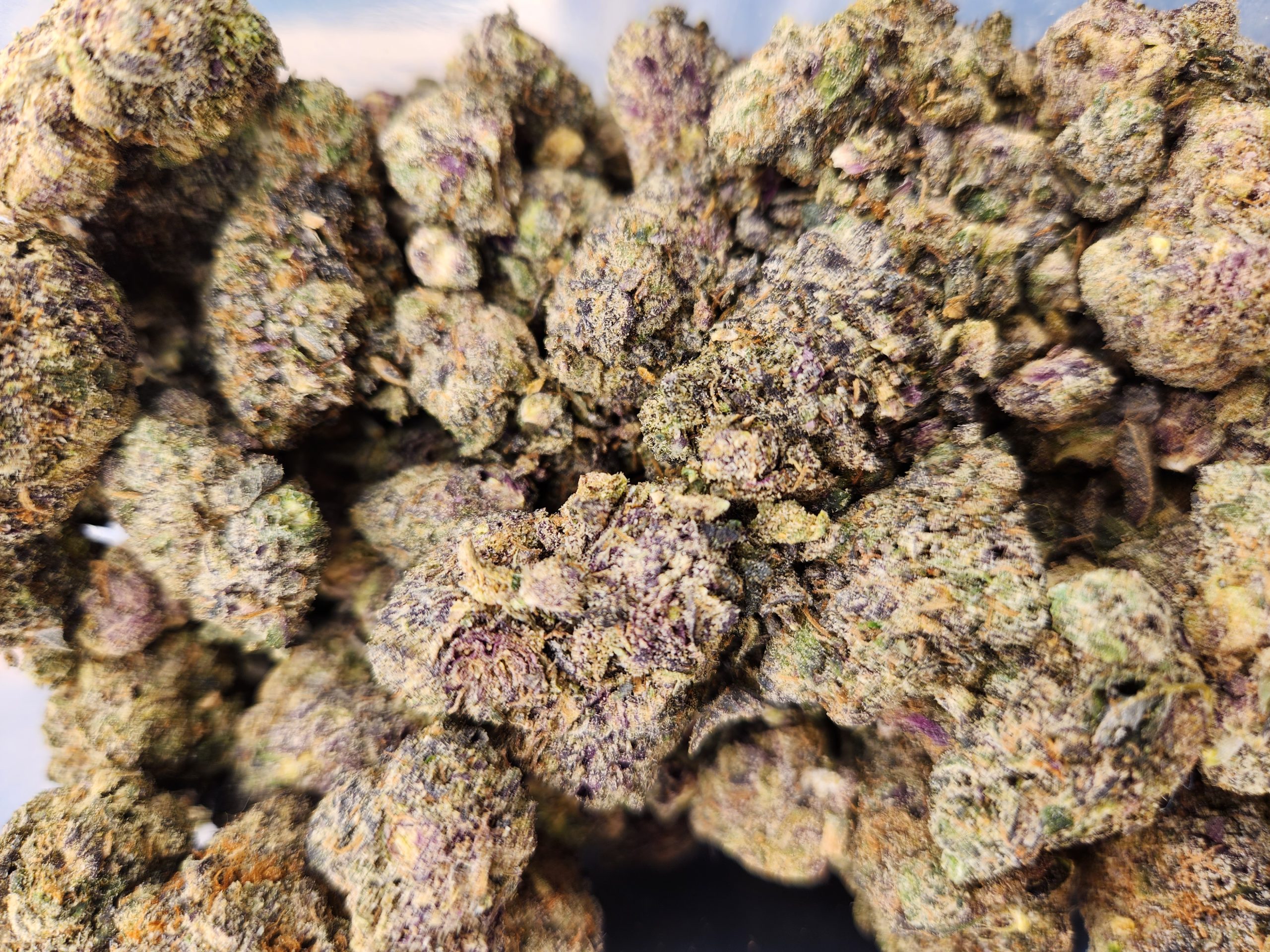 Gary Payton - Image 2