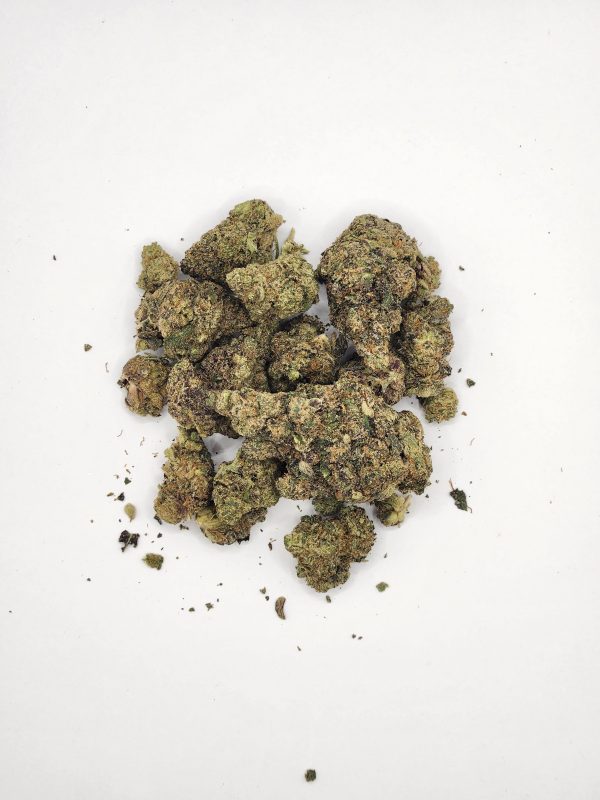 Gruntz - Image 2