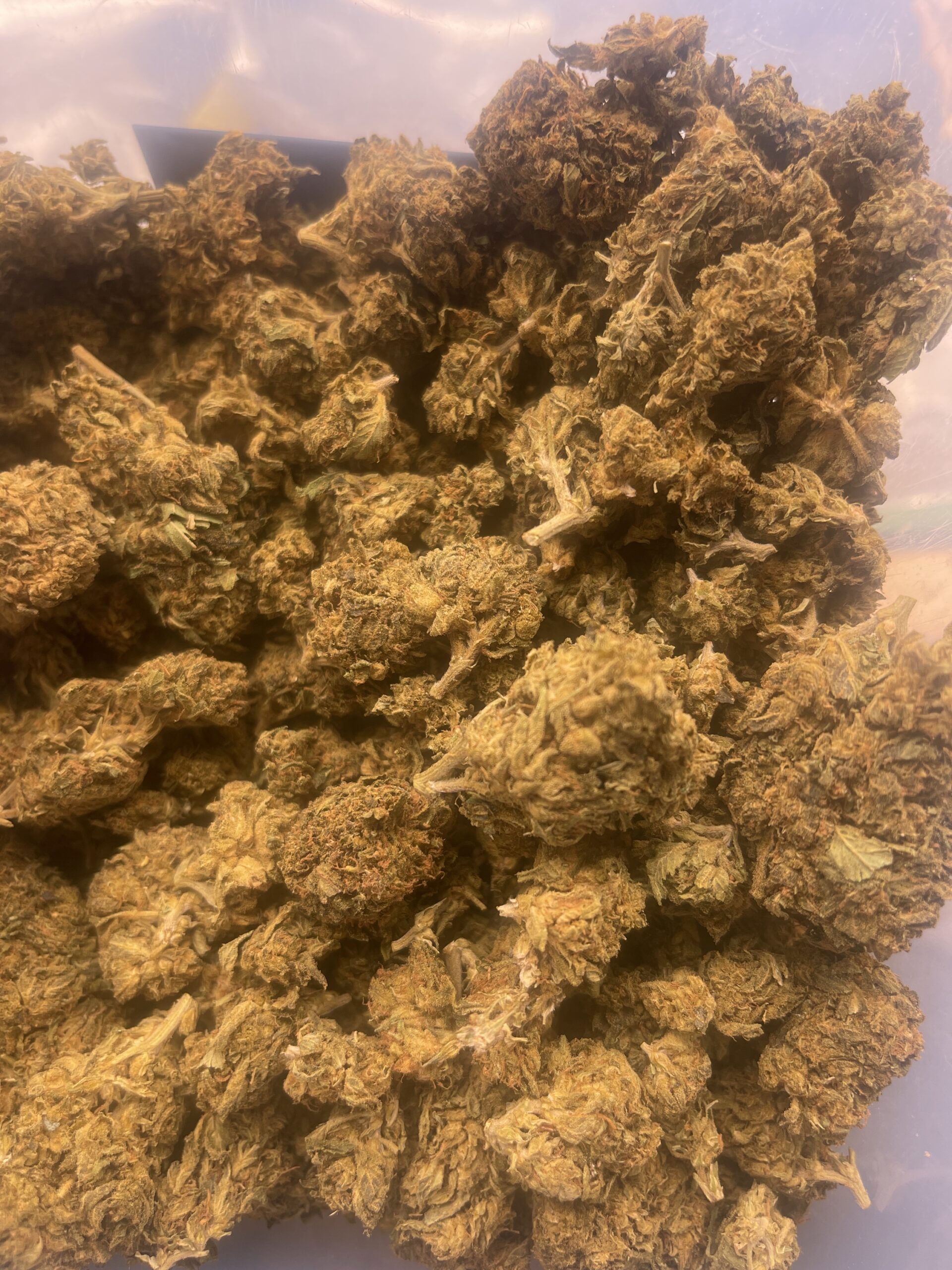 High Octane - Image 2