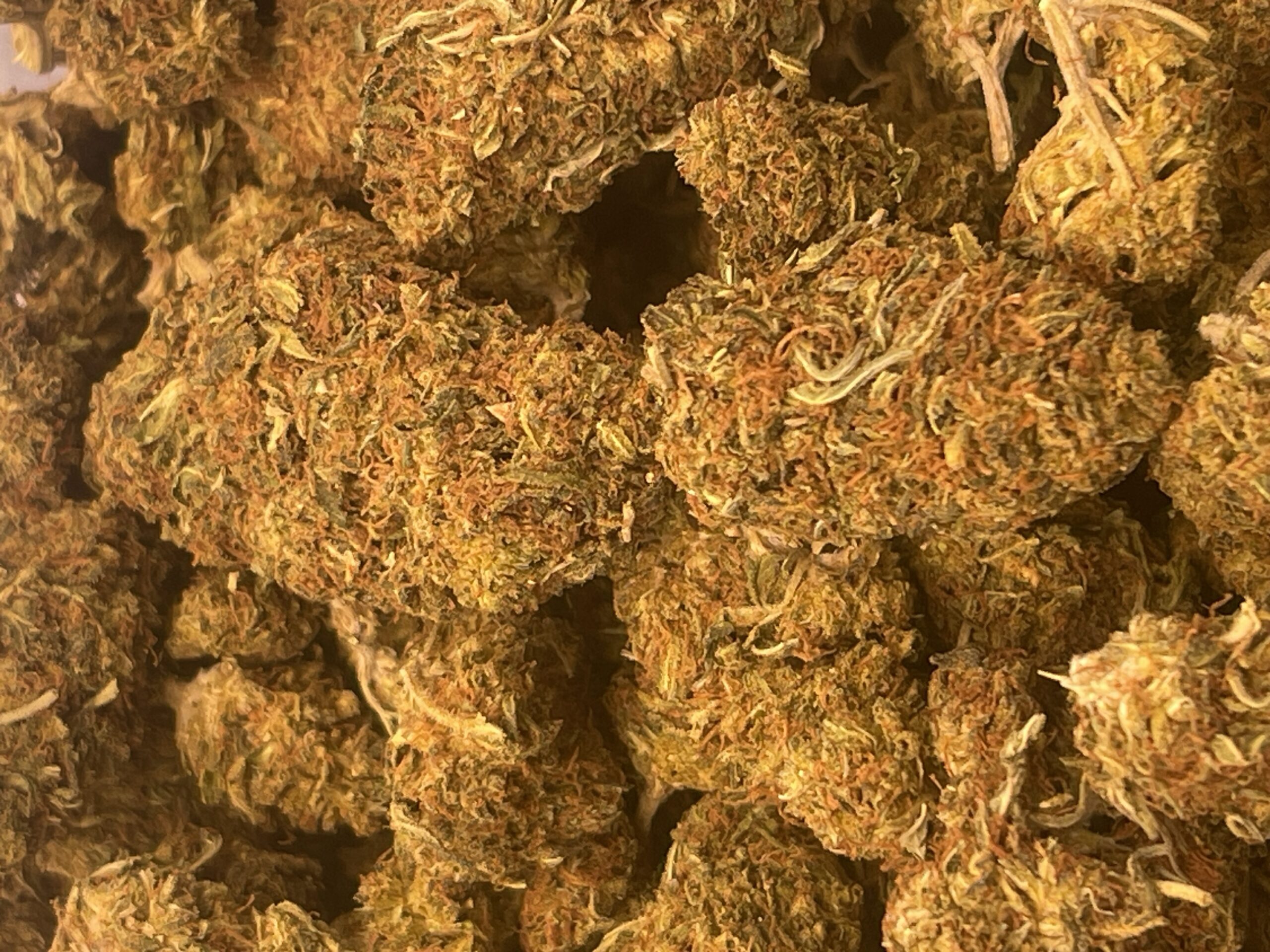 Tokyo Snow - Exquisite Tier 3 Indica Hybrid - Image 2