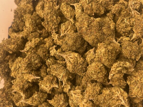Black Domina - Potent Tier 3 Indica Hybrid - Image 2