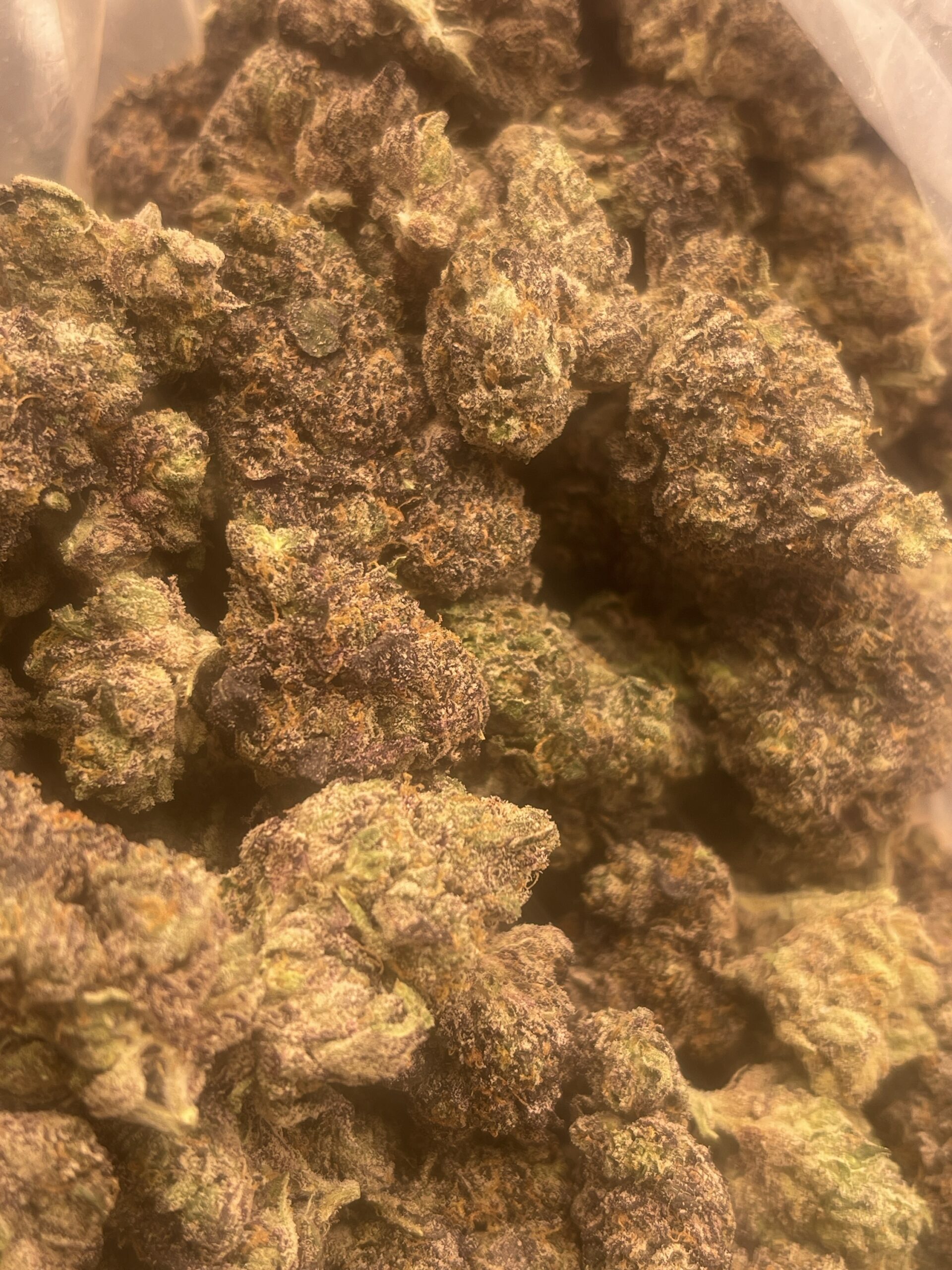 Cheese Quake - Premium Tier 1 Sativa Hybrid - Image 2