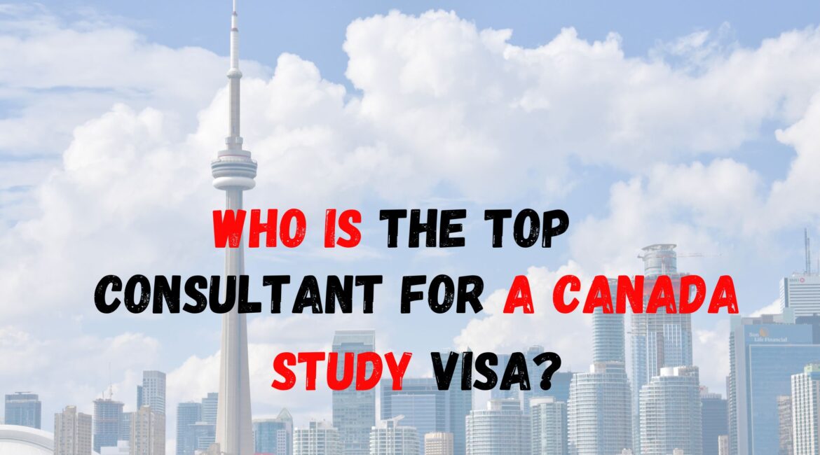 Who is the top consultant for a Canada Study Visa?