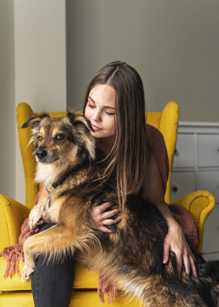 How To Care Border Collie Mix With Chihuahua