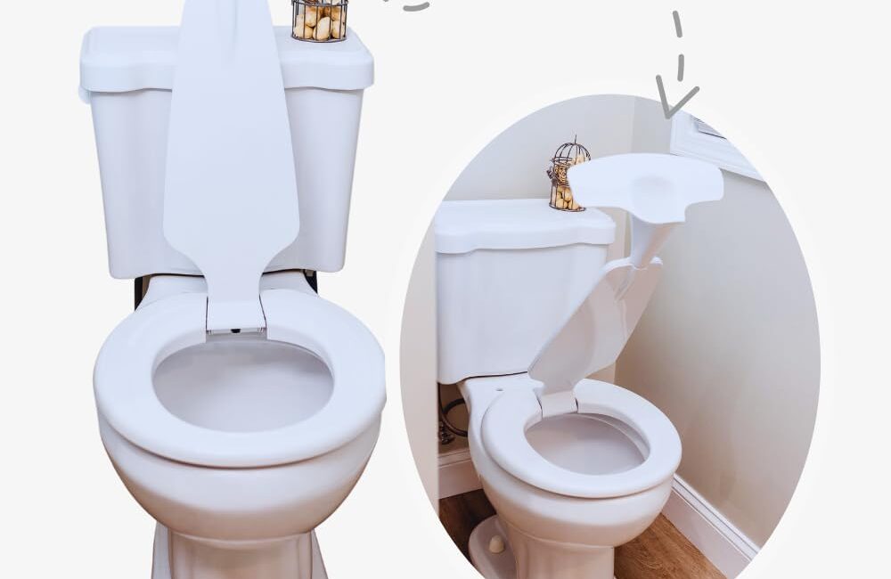 potty training toilet seat attachment