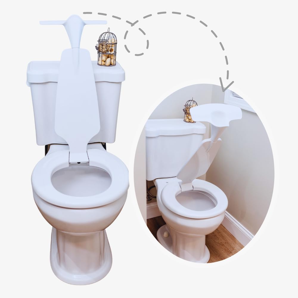 potty training toilet seat attachment