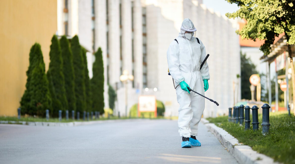 Choosing the Right Commercial Pest Control Company for Your Business