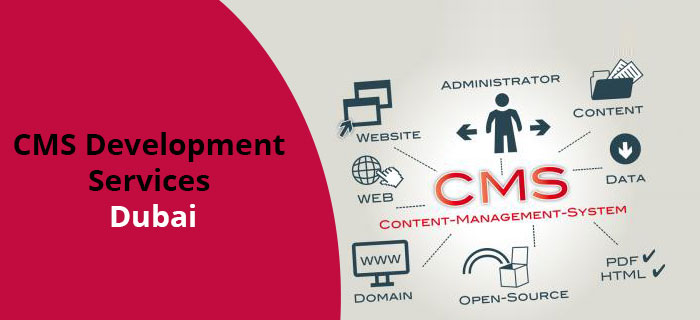 cms web development services in dubai