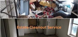 Efficient Estates Cleanouts & Yard Waste Removal in Kelowna