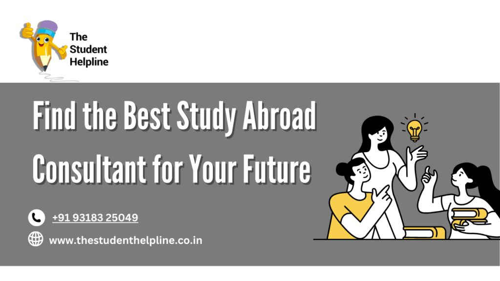 study abroad consultant