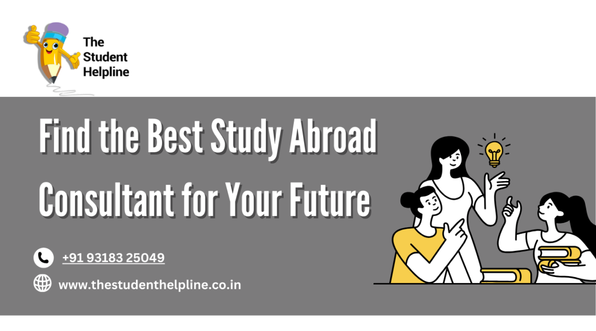 study abroad consultant