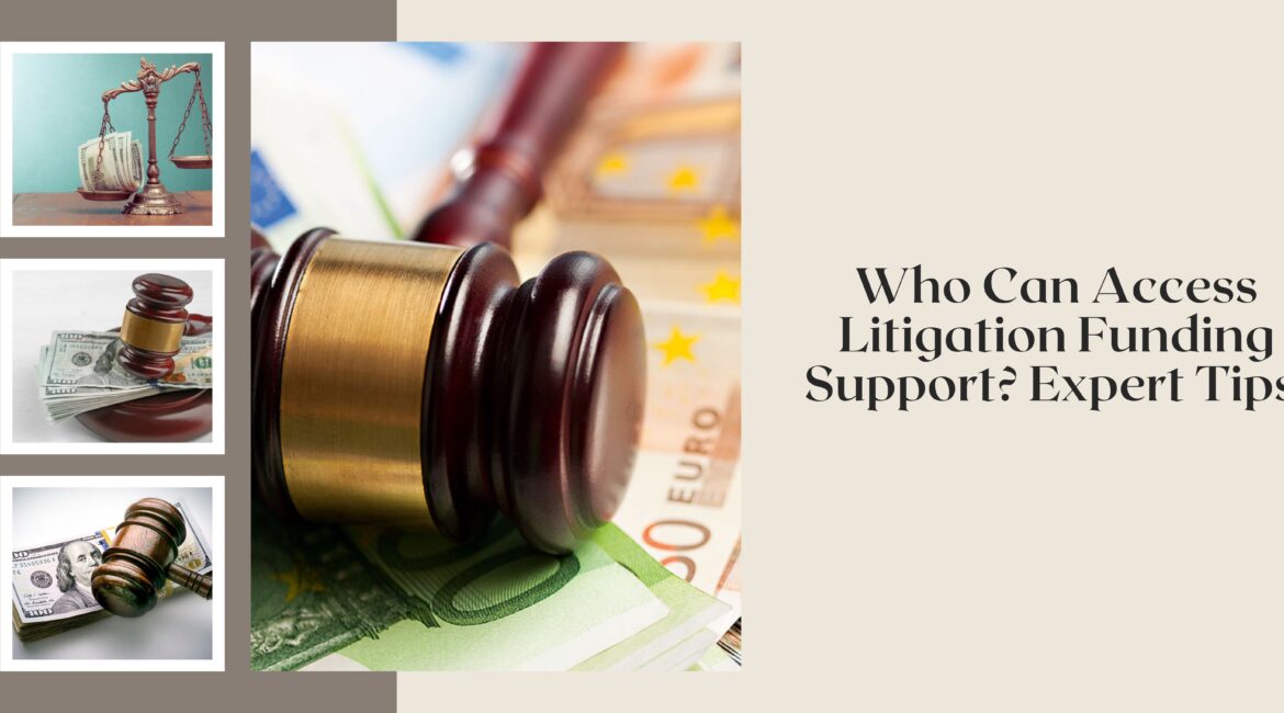 litigation funder