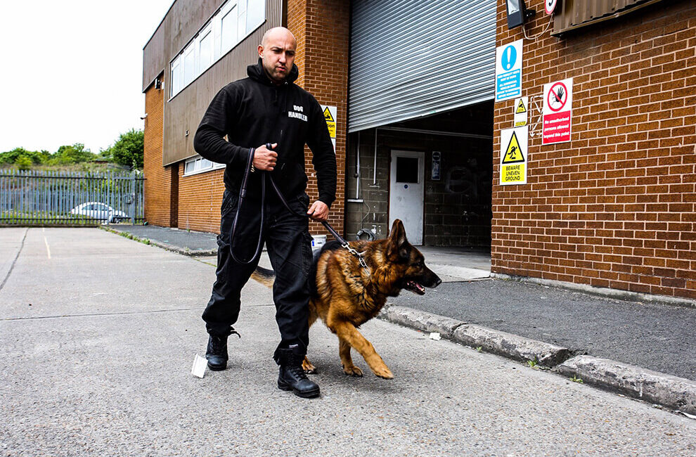 Dog Unit Security