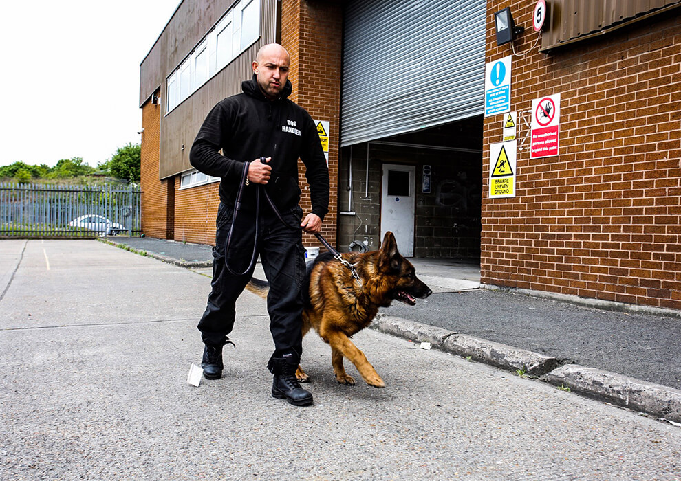 Dog Unit Security