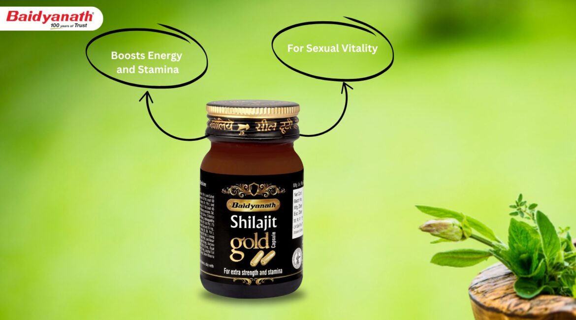 Baidyanath Shilajit