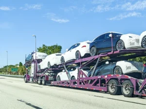 Car Shipping Company in Florida