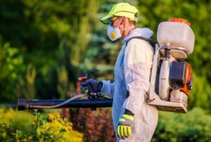 best residential pest control services