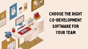 Right Co-Development Software for Your Team