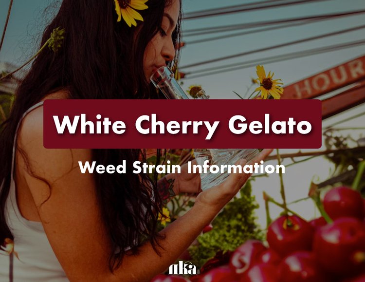 White Cherry Gelato