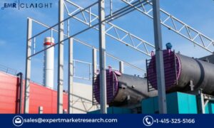 Industrial Biomass Boiler Market