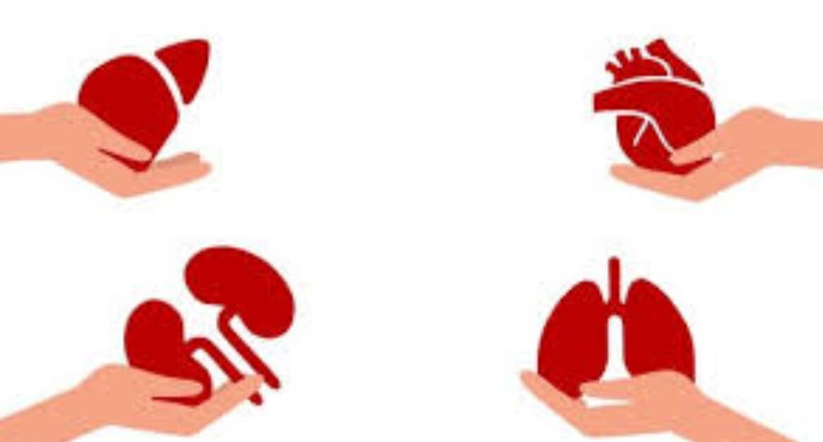 Lung Transplant