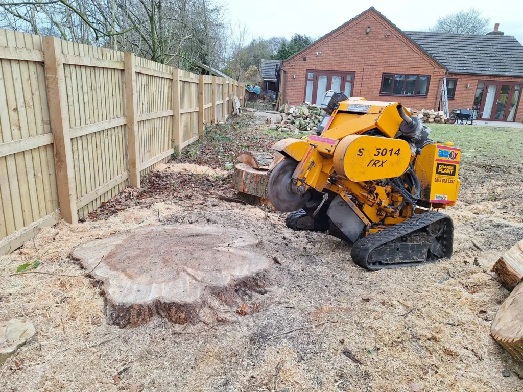 Tree Surgeon Lancashire