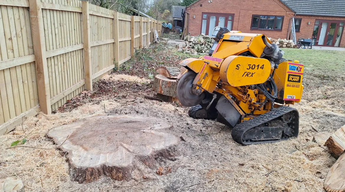 Tree Surgeon Lancashire