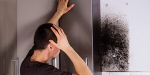 mold damage insurance claim florida