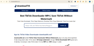 TikTok Video Downloader