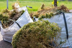 House Clearance Poole