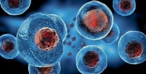 transform your life today with stem cells