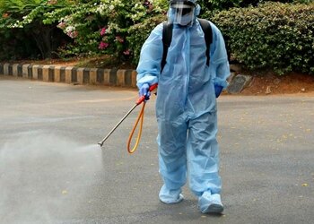 Pest Control in Lahore
