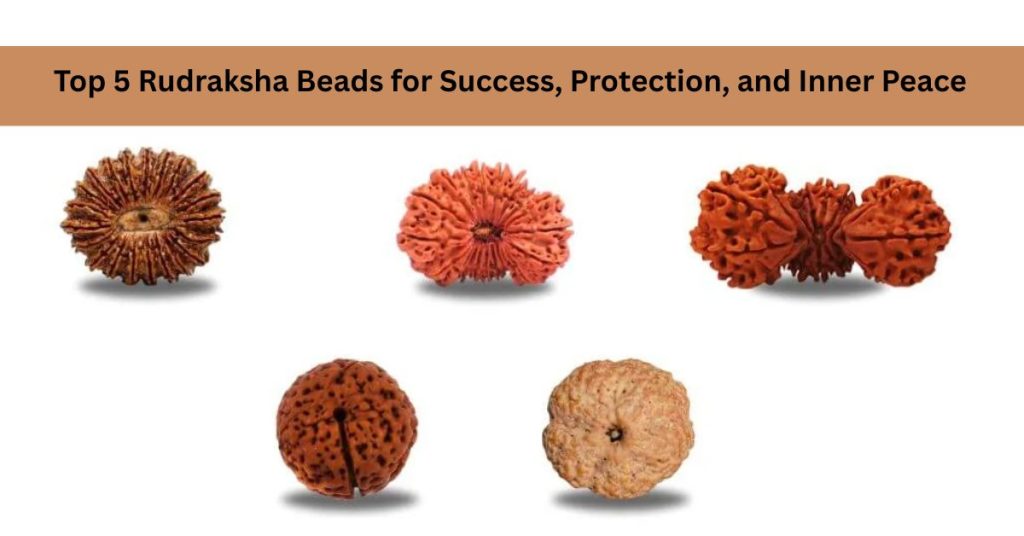 Top 5 Rudraksha Beads for Success, Protection, and Inner Peace