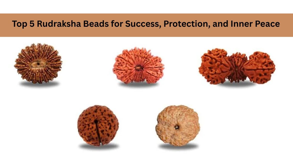 Top 5 Rudraksha Beads for Success, Protection, and Inner Peace