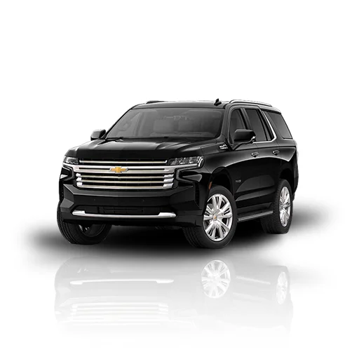 vviptorontolimo