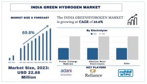 India Green Hydrogen Market