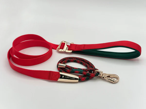 leash and collar set