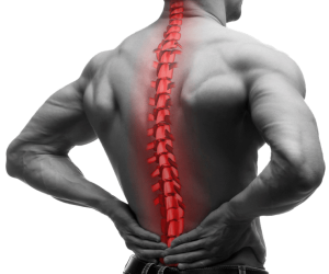 back pain doctor nj