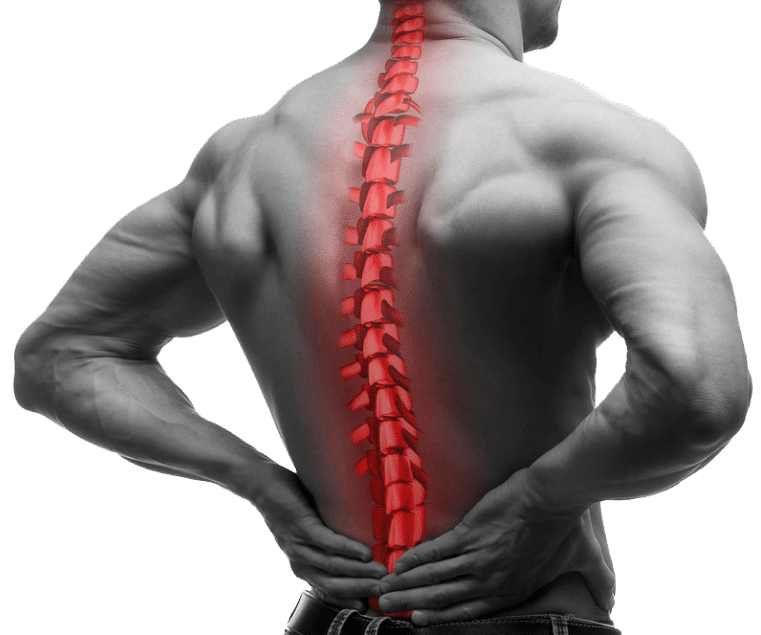 back pain doctor nj