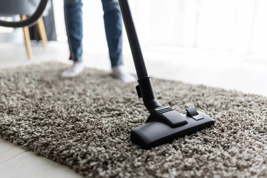 professional carpet cleaners in Murfreesboro TN