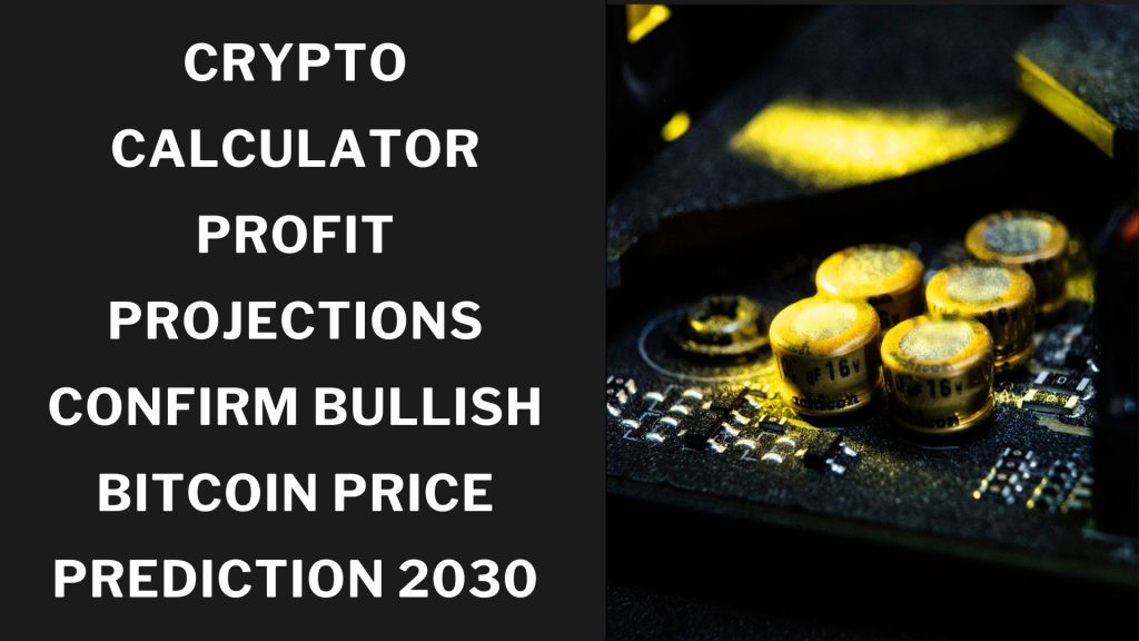 Crypto Calculator Profit Projections Confirm Bullish Bitcoin Price Prediction 2030