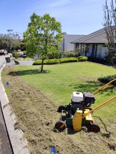 Dethatching Buffalo Lawn
