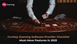 Turnkey iGaming Software Provider