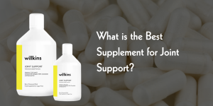 joint support supplements