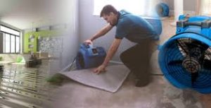 biohazard clean up Vancouver