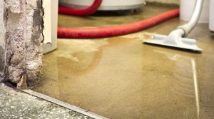 flood cleanup