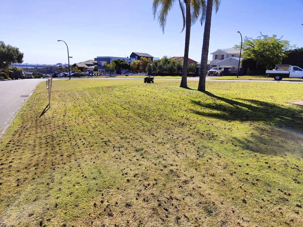 Lawn Coring Service