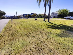Lawn Coring Service