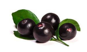 Acai Berry Market