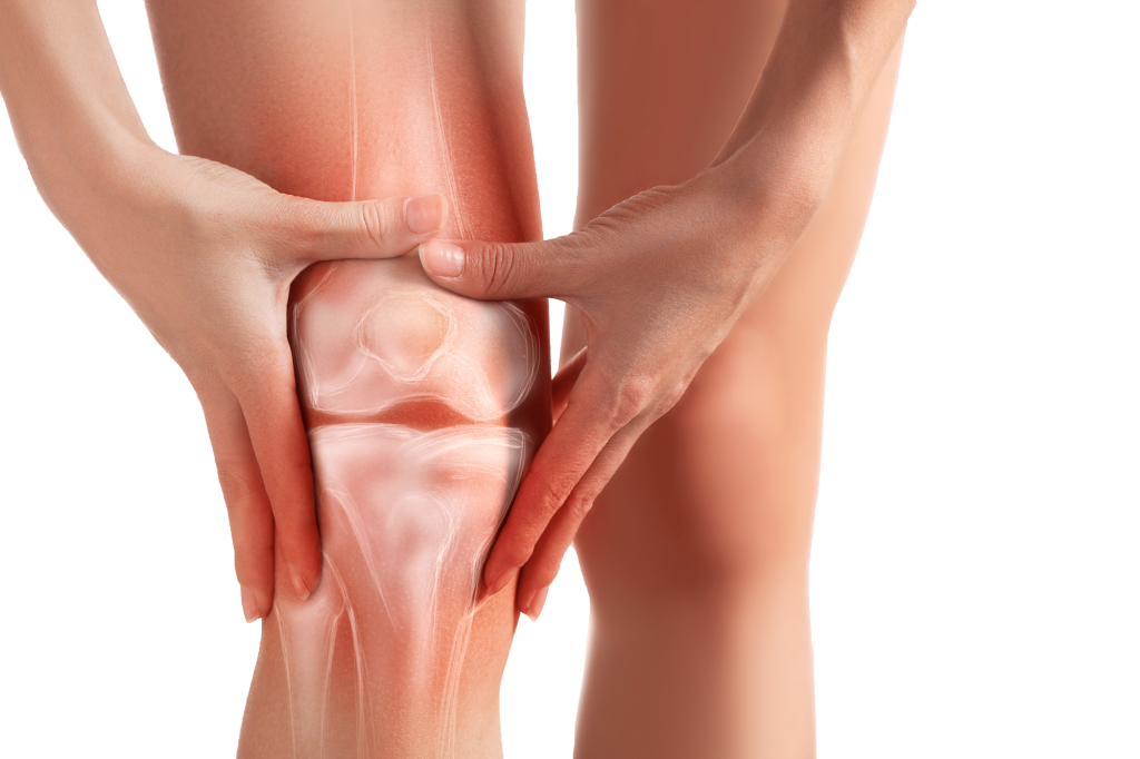 knee management specialist